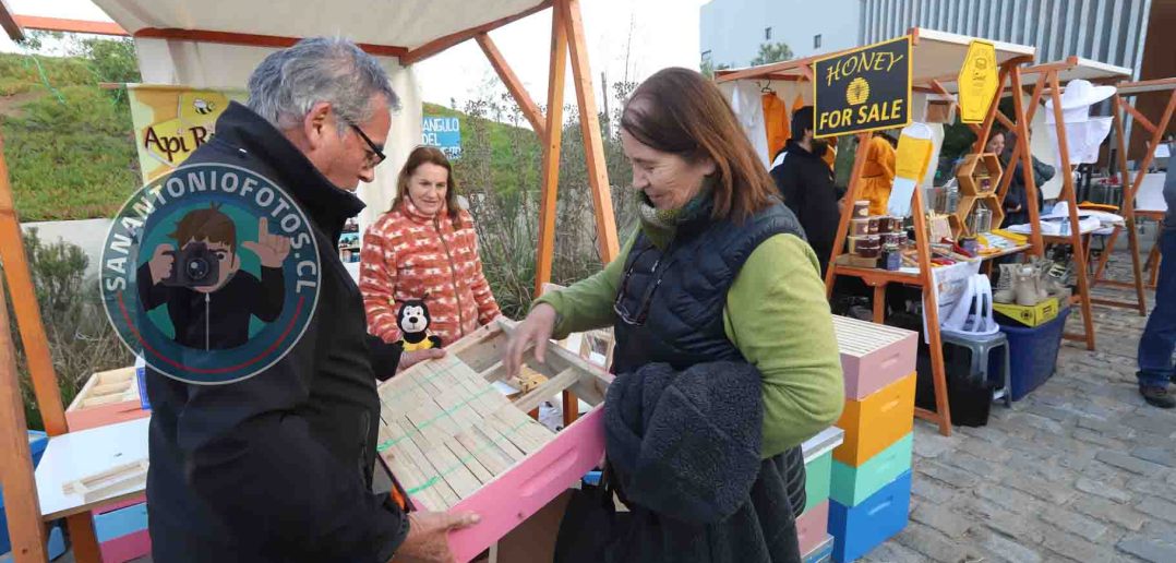 Galer A De Im Genes Invitan A La Comunidad A Disfrutar Del Fascinante Mundo De Las Abejas Y La