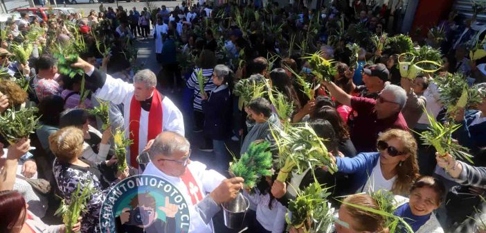 Galería de imágenes: Cientos de sanantoninos celebraron Domingo de Ramos al iniciar una nueva Semana Santa