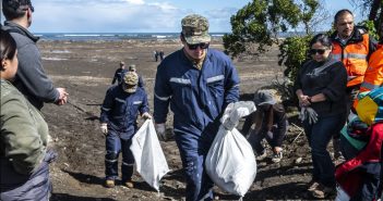 En esfuerzo conjunto realizan importante jornada de limpieza en Playa de Llolleo