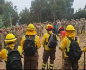 San Antonio: CONAF capacitó a 117 soldados de Tejas Verdes en combate de incendios forestales