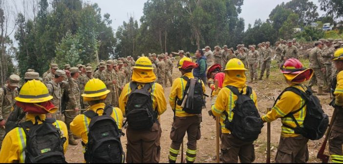 San Antonio: CONAF capacitó a 117 soldados de Tejas Verdes en combate de incendios forestales