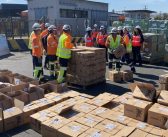 Decomisan un contenedor con 27,5 toneladas de precursores químicos para drogas
