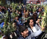Galería de imágenes: Cientos de sanantoninos celebraron Domingo de Ramos al iniciar una nueva Semana Santa