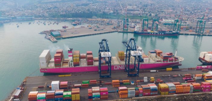 Puerto San Antonio registra en los primeros nueve meses del 2025 un crecimiento de 12% en movimiento de TEU