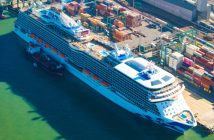 Comité Portuario de Coordinación de Organismos Públicos de San Antonio activa protocolos para el inicio de la temporada de cruceros