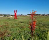 Invitan a “Encuentro de Escultura en Vivo” mañana en Punta de Tralca 