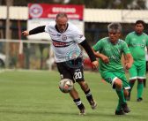 Galería de imágenes: Cóndor Placilla venció a Unión Santo Domingo y jugará la final por el título en serie Súper Senior 