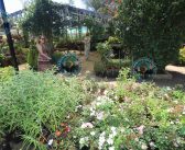 Jardín Hecho a Mano, un panorama único para celebrar el Día del Amor y la Amistad en Santo Domingo