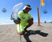 Decretan prohibición de ingresar bañistas a playas Marbella, Norte, Sur, y Santa María de la comuna de  Santo Domingo 