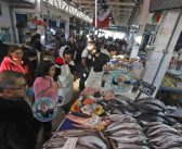 Galería de imágenes: Merluza, reineta y mariscos frescos: los protagonistas  de la mesa en Semana Santa en San Antonio