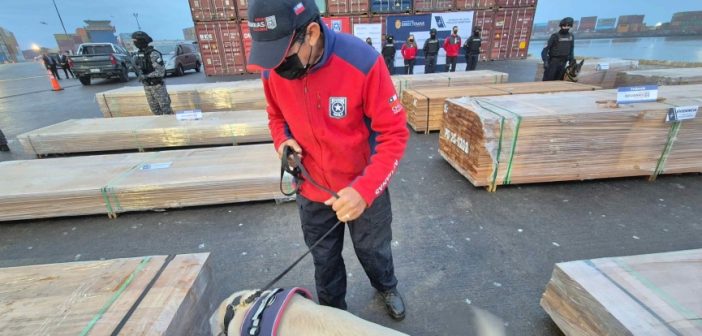 Histórica incautación de maderas impregnadas con distintas drogas en los puertos de Arica, San Antonio y Valparaíso.