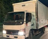 Detienen a sujeto con ocho vacunos robados en Bucalemu: transportaba los animales en un camión con encargo por robo