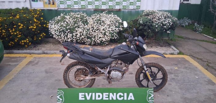 Seis detenidos y una motocicleta robada recuperada deja operativo de Carabineros en Cartagena