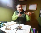 Corte de Apelaciones de Valparaíso ordena definitiva e inmediata restitución de José Luis Brito al MUSA