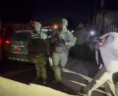 Carabineros del OS7 de San Antonio desarticuló organización criminal dedicada al narcotráfico en toma de terrenos